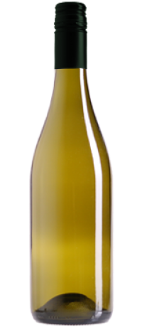 Pinot Gris 